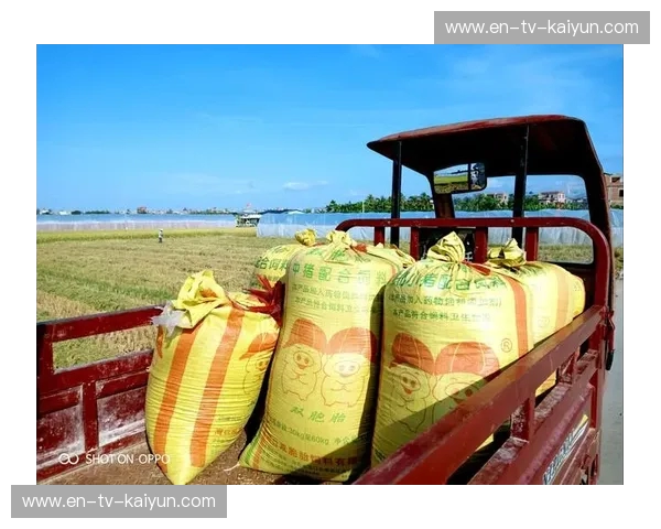 龙与鹰的巅峰对话：在太平洋两岸，我们正见证怎样的时代巨变？